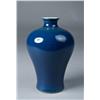 Image 1 : Chinese Monochrome Porcelain Vase