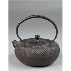 Japanese Cast Iron Tea Pot