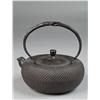 Image 1 : Japanese Cast Iron Tea Pot