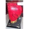 Image 1 : Everlast Boxing Glove Signed By Ali, Frazier, and Forman in Presentation Case.