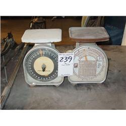 SCALES (2X)
