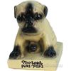 Image 1 : Country Store Countertop "Morses Pure Pops" Dog Figural