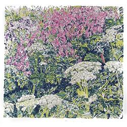 George Chemeche, Cow Parsnip, Serigraph
