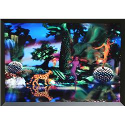 Paolo Consorti, Hyperscape I, Unique Lambda Print