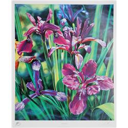 Brett Livingstone Strong, Irises, Offset Lithograph