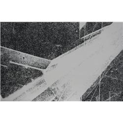 Colin Self, Power and Beauty-Unique Print No. 2, Serigraph