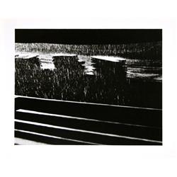 Miroslav Hak, Rainy Day, Photograph