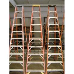 10' FIBERGLASS LADDER