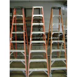 8' FIBERGLASS LADDER
