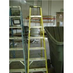 6' FIBERGLASS LADDER
