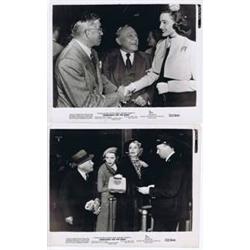 Something for the birds