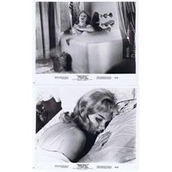 Something wild (1962)