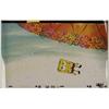 Image 1 : Background Sideways Spongebob Original Production Cel