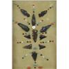 Image 2 : Native American Arizona Arrowhead Display