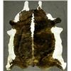 Image 1 : Brindle ''AAA'' Cowhide