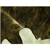 Image 2 : Brindle ''AAA'' Cowhide