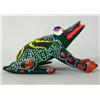 Image 2 : Oaxacan Frog