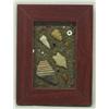 Arizona Framed Arrowhead Display