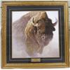 Image 1 : Framed Buffalo Print by Robert Bateman