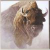 Image 2 : Framed Buffalo Print by Robert Bateman