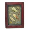 Image 1 : Arizona Framed Arrowhead Collection