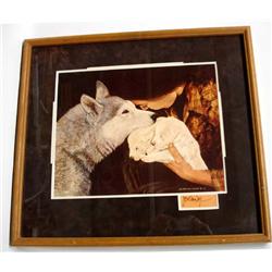 Framed Print Hand Signed by Jon Van Zyle, Alaska