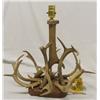 Deer Antler Lamp Base