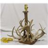 Image 2 : Deer Antler Lamp Base