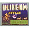 Image 1 : 1941 Original U LIKE UM Apple Crate Label