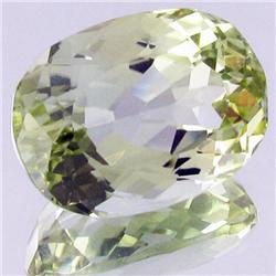 24.14ct Top Patroke Green Kunzite Appraised $10k (GEM-19117)