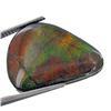 Image 1 : 10.85ct Multi Color Rare Ammolite   (GEM-28523)