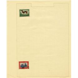 1940s/50s S. Africa Hand Made Stamp Album Pg 2pcs (STM-0277)