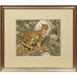 Carl Brenders, gouache