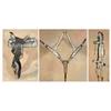 Image 1 : Silver Mounted Saddle, Bridle and Martingale, Olson Nolte Silver