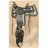 Image 2 : Visalia Silver Mounted Saddle