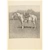 Image 8 : Frederic Remington, Done In The Open 1903 Folio