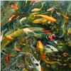 Image 2 : Ed Friedman, oil on board
