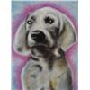 Image 2 : Duerrstein Original Dog Painting Young Labrador