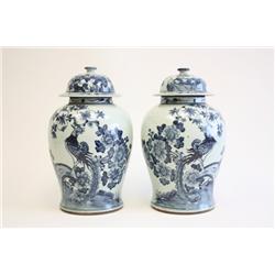 Pair of porcelain covered temple jars