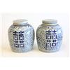 Image 1 : Two covered blue & white ginger jars