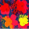 Image 1 : Ltd Edition Serigraph - Andy Warhol "Flower 3"