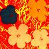 Image 1 : Ltd Edition Serigraph - Andy Warhol "Flower 6"