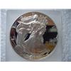 Image 1 : 2001 Silver American Eagle