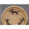 Image 4 : APACHE BASKET