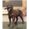 Image 2 : Great Bronze Sculpture Retriever - Hunting Dog