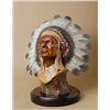 Image 1 : Tuscarora Indian Chief by Henry Alvarez