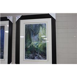LIMITED EDITION PRINT "CATHEDRAL GROVE" 52/175 BY