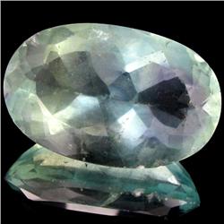 184ct Oval Green Flourite Afghan (GEM-17485)