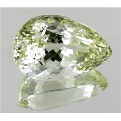 45ct Patroke Green Kunzite  (GEM-23390)