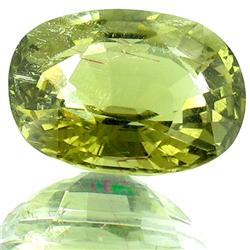 9.38ct Olive Gn Cuprian Tourmaline Apprsd $113k (GEM-26056)